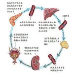 外阴白斑病因之其他疾病
