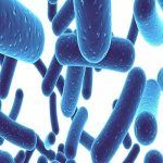 阴道炎病因之细菌性阴道病