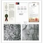 重大突破！安太揭开不明原因流产背后的奥秘！