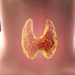 甲状腺功能减退_甲低合并习惯性流产案例分享