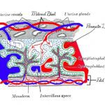 生化妊娠的治疗与诊断