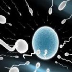 不孕不育常见症状有哪些？