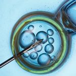 交媾试验就是同房试验吗?是检查不孕症的吗?