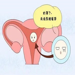 子宫内膜薄