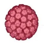 得了宫颈癌还能生孩子吗？