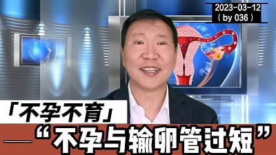 输卵管短