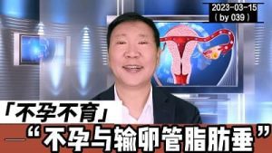 输卵管脂肪垂