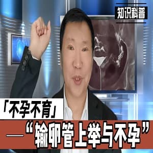 输卵管上举