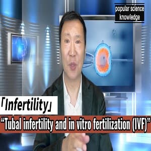 Tubal Infertility and In Vitro Fertilization (IVF)