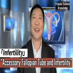 Infertility and Paratubal Obstruction:Understanding the Disease Causes and Correct Treatment Methods