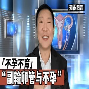 副输卵管