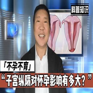 子宫纵隔